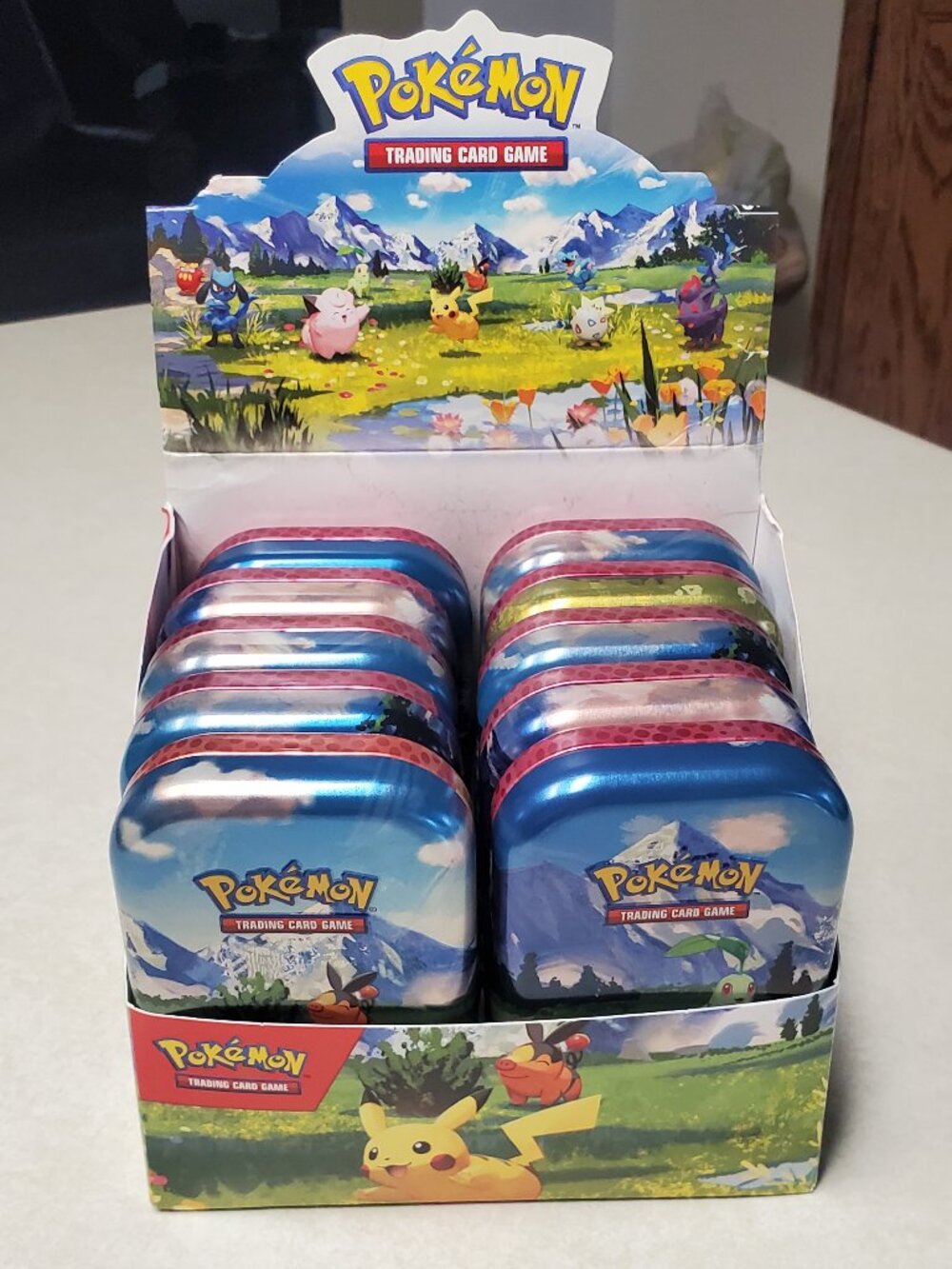 Pokémon TCG Mega Evolution Ascended Heros Mini Tin Display 10 Count